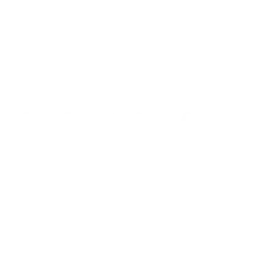 Patagon landengi